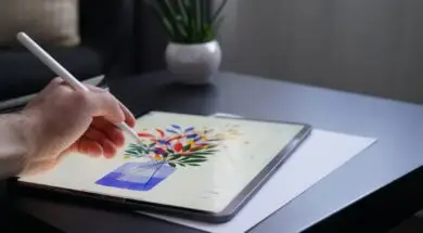 Firma LG chcę uzyskać kontrakt na dostawę ekranów OLED dla iPadów