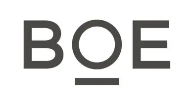 BOE Technology Group Logo