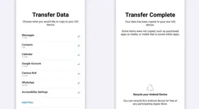 Zrzut ekranu 2022-06-15 235502