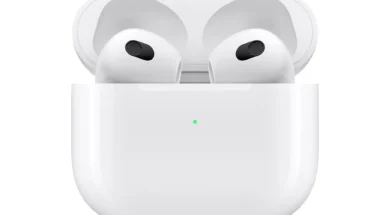 b90f-1bb7-4e6d-a994-615c203b6e5b_large