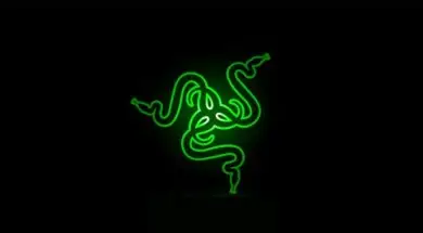 razer-logo-firmy