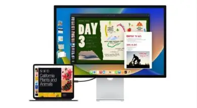 Udostępniona data premiery systemów macOS 13 i iPadOS 16.1