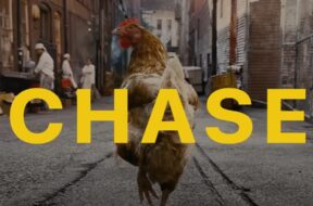 Zrzut ekranu 2022-10-01 121523