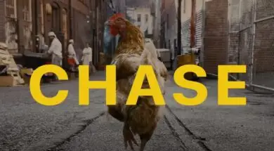 Zrzut ekranu 2022-10-01 121523