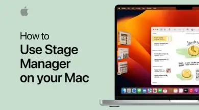 Poradnik Apple Na temat korzystania z Stage Manager w macOS 13
