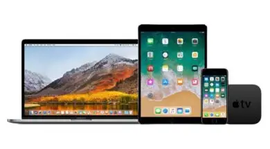 big_11e80e9c-a790-4699-8fa1-373221e4acf2