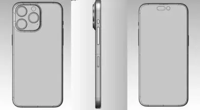 53872-108382-renders-shrimp-xl