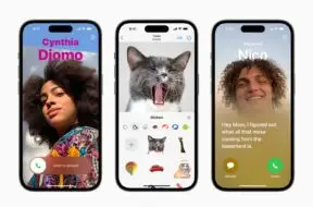 Aplikacja Zdjęcia w systemie iOS 17 ma rozpoznawać także zwierzęta