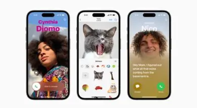 Aplikacja Zdjęcia w systemie iOS 17 ma rozpoznawać także zwierzęta