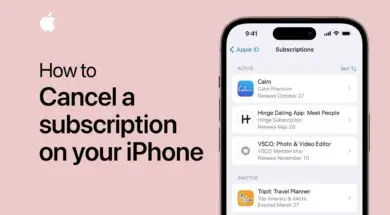 Poradnik Apple Na temat zarządzania subskrypcjami w App Store