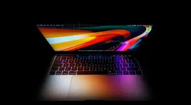 joshua-ng-1ssfrozgifk-unsplash