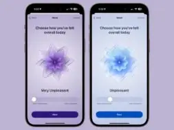 ios-17-beta-6-mood-tracking