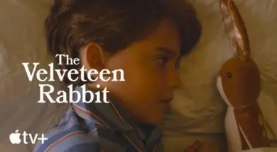 „Aksamitny Królik”