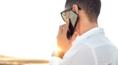 20240129004452_download