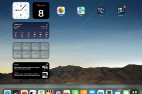 twitter_FyJypVgakAAsdpt