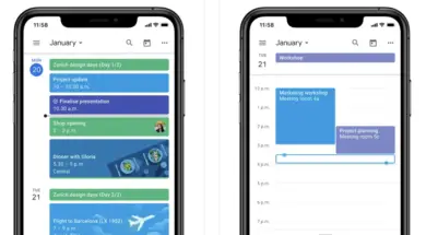 Google kalendarz ios