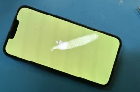ekran iPhone świeci na żółto, ekran iPhone świeci na zielono, ekran iPhone nie działa prawidłowo