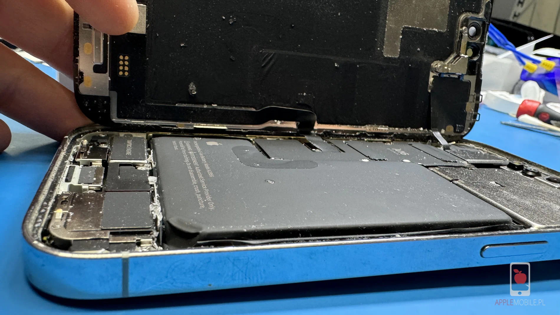 spuchnięta bateria iPhone skutkiem zbicia tylnej szybki obudowy