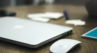 pexels-tranmautritam-58420 (1)