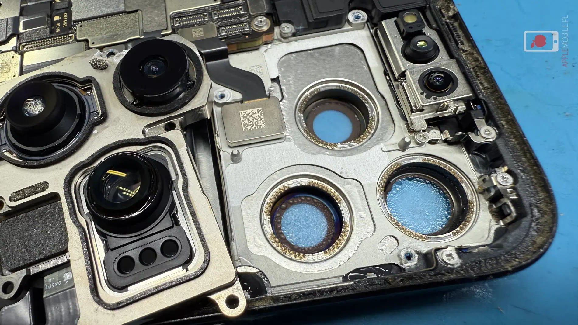 szczegółowa inspekcja zalanego iPhone'a kluczem do sukcesu naprawy