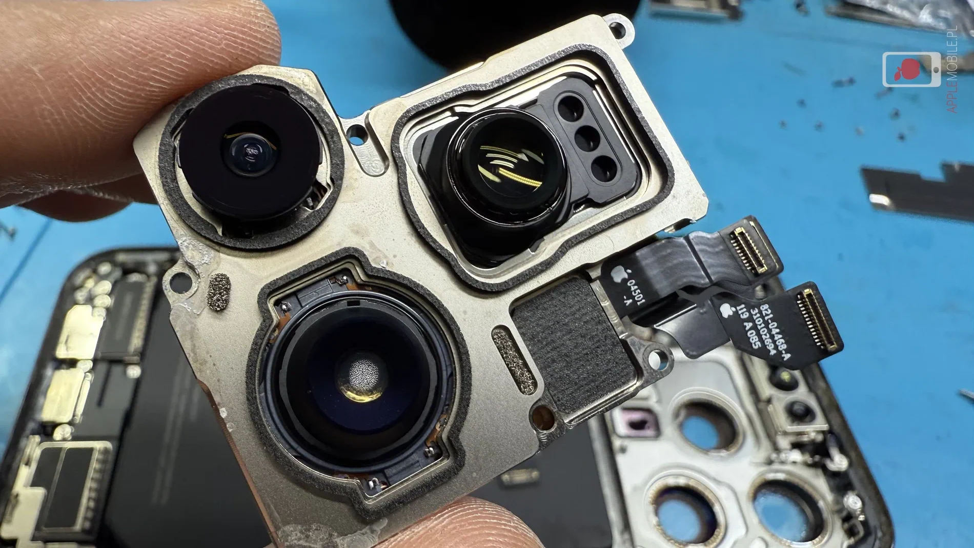 ciecz wewnątrz obiektywu głównej kamery iPhone