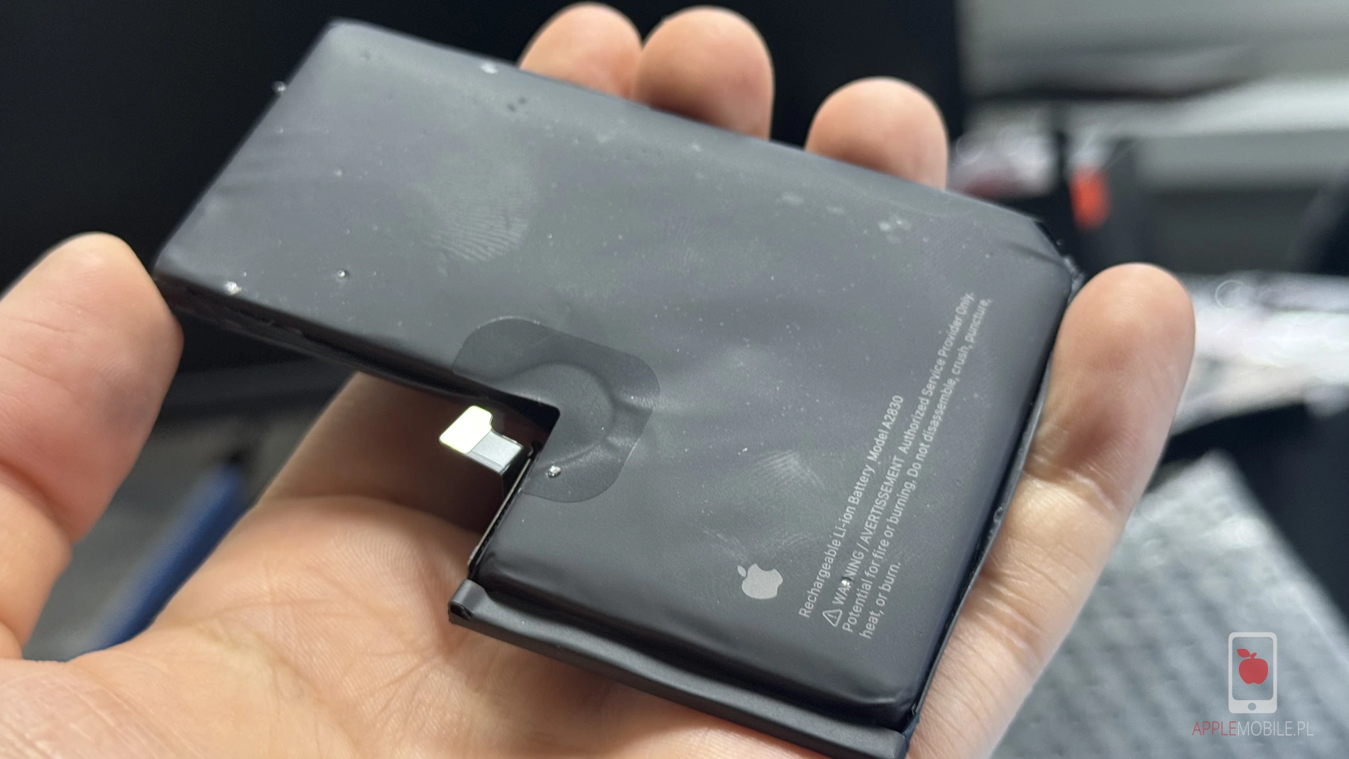 spuchnięta bateria iPhone wyjęta z telefonu ze zbitą tylną szybką