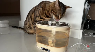 img_3279 recenzja rola smart pet water fountain