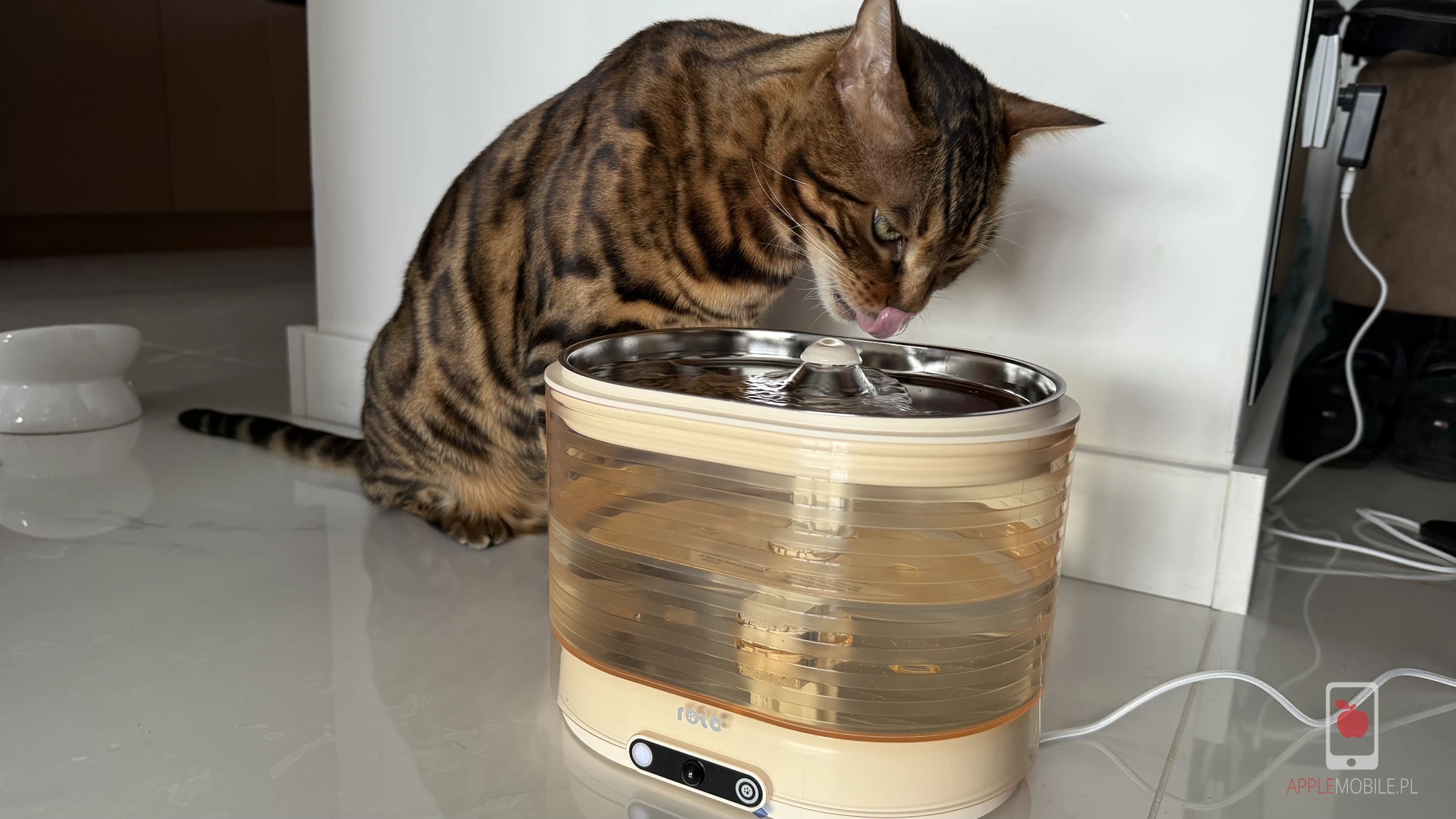 Jeśli Twój kot nie ma chęci do picia wody, spróbuj ENABOT ROLA – inteligentne poidełko dla kota sterowane z iPhone’a
