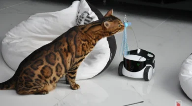 DSC_0154 test i recenzja ENABOT ROLA PetPal