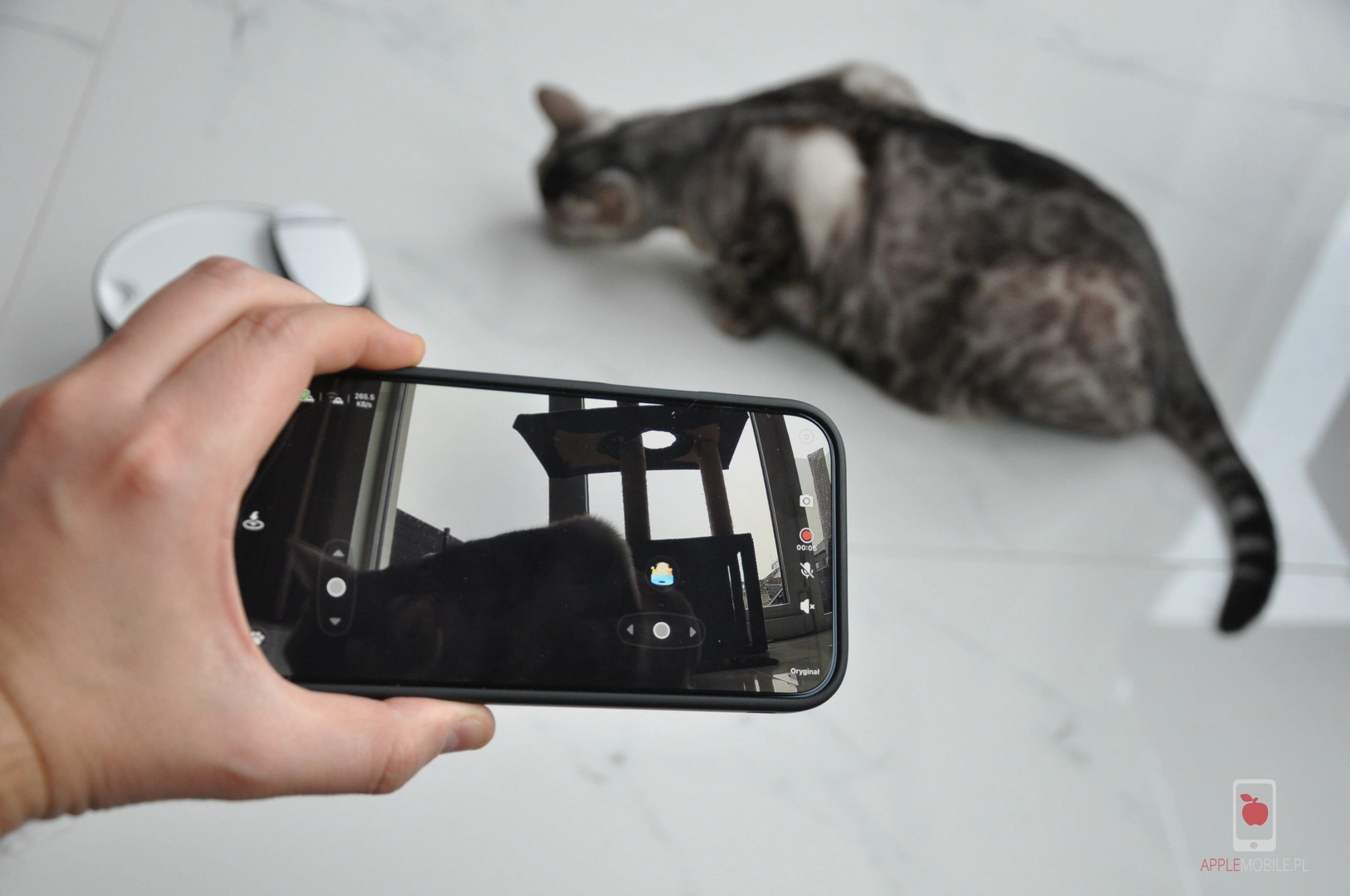 ROLA PetPal podczas karmienia suchym pokarmem z własnego pojemnika