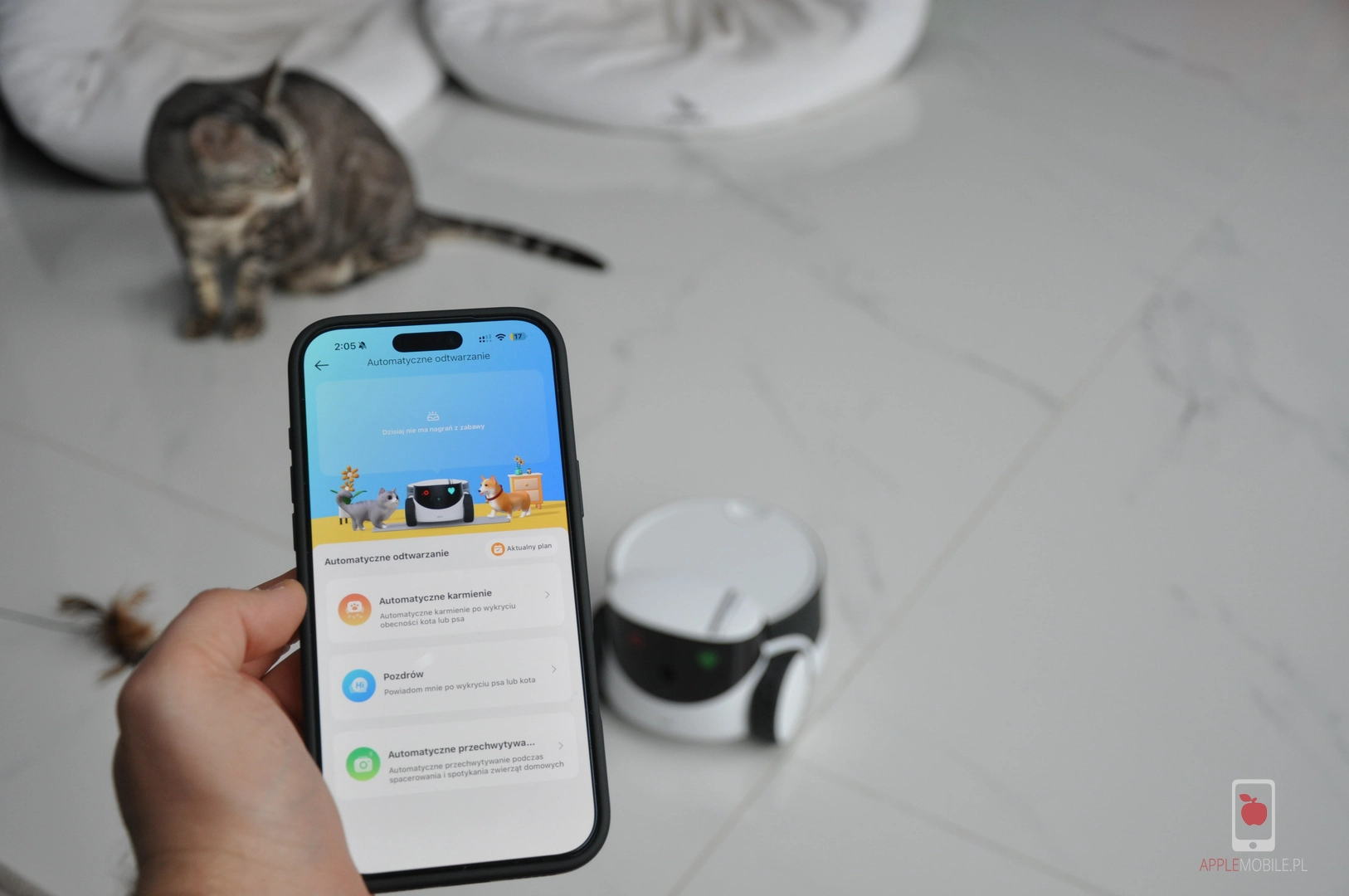 sztuczna inteligencja w aplikacji Rola