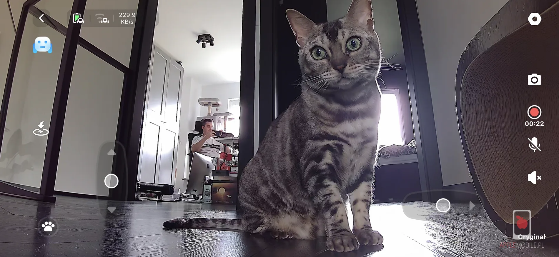 widok z aplikacji podczas zdalnego sterowania Rola PetPal