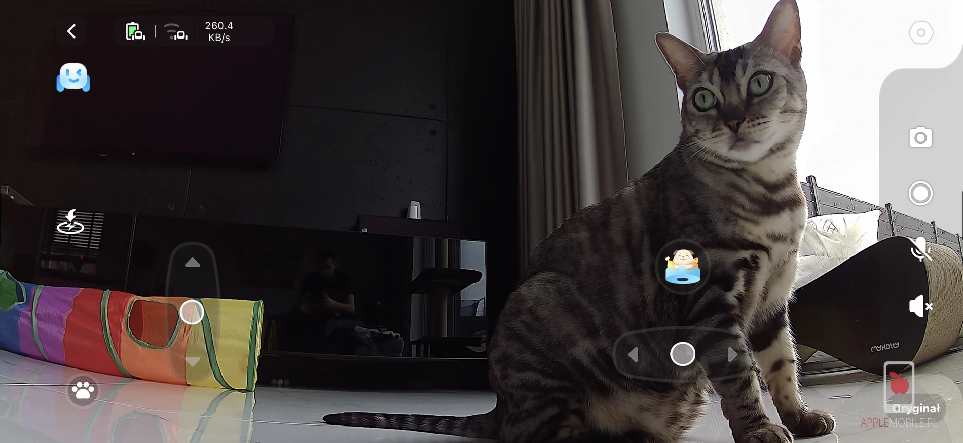 monitorowanie domu i zwierząt za pomocą kamery w Rola PetPal