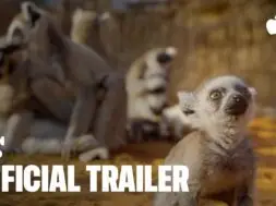 Dostępny w Apple TV nowy serial przyrodniczy Dzikie z natury