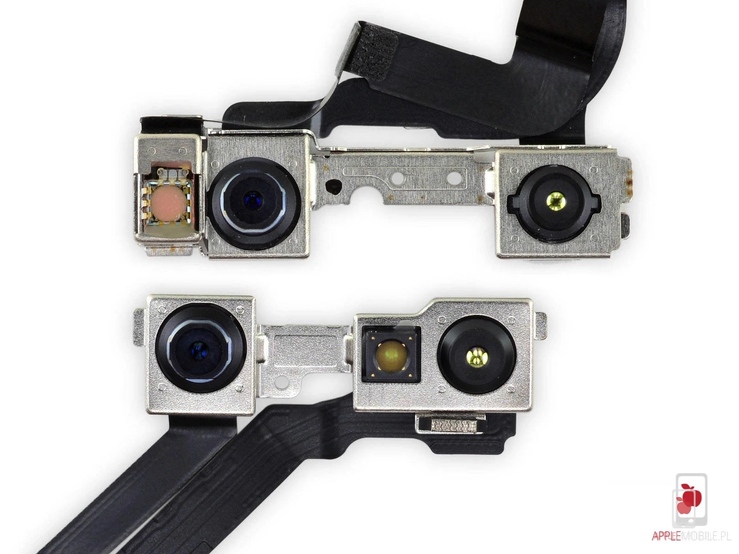 dwie generacje trudepth na jednym zdjęciu