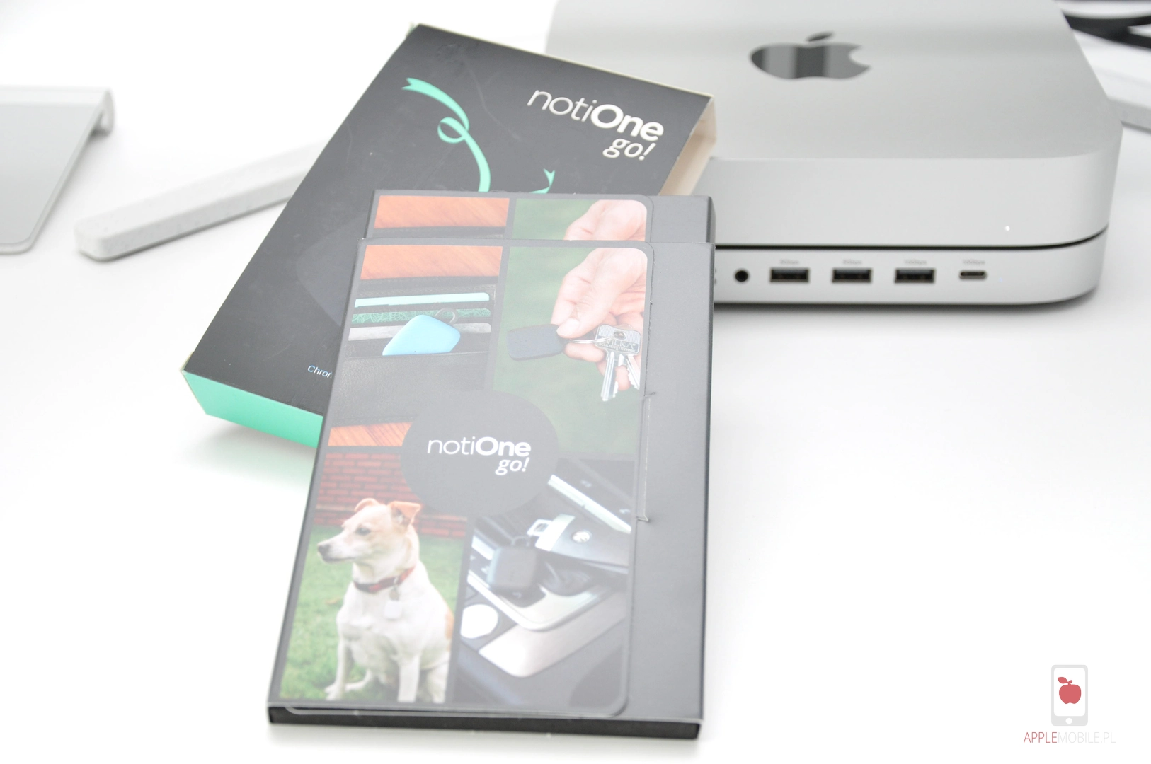 pies z brelokiem notione